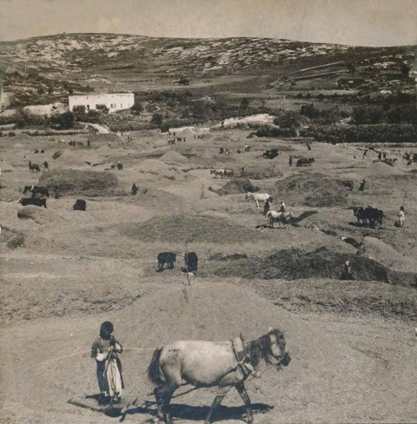 أراضي القرية أراضي القرية