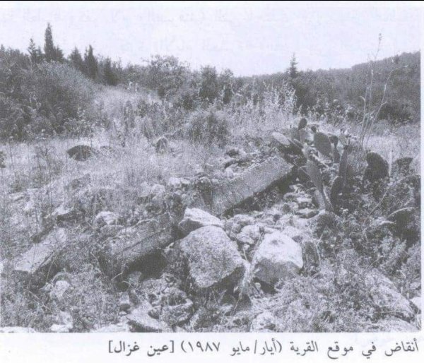 قرية عين غزال قرية عين غزال