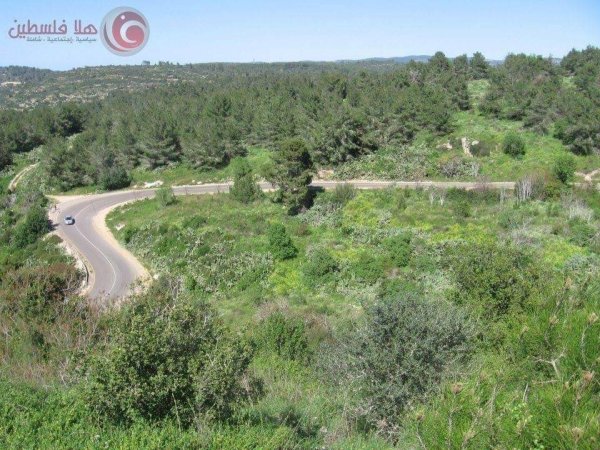  | موسوعة القرى الفلسطينية