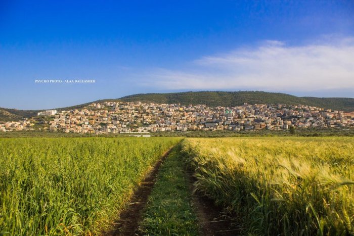 البعينة /النجيدات  | موسوعة القرى الفلسطينية
