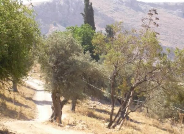 طرق عكبرة القديمة، نقلاً عن موقع فلسطين في الذاكرة