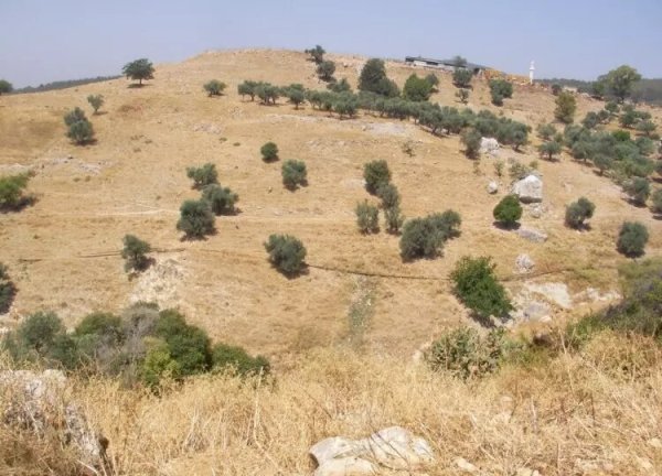 أراضي جنوب القرية، نقلاً عن موقع فلسطين في الذاكرة