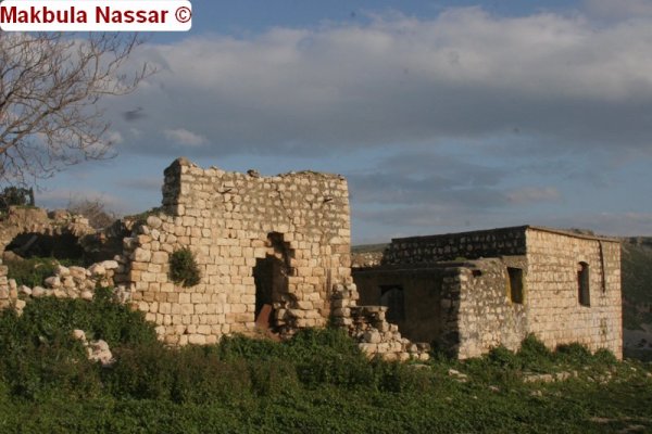 منازل قرية عكبرة المهجرة، الصورة عام 2009 بعدسة مقبولة نصار