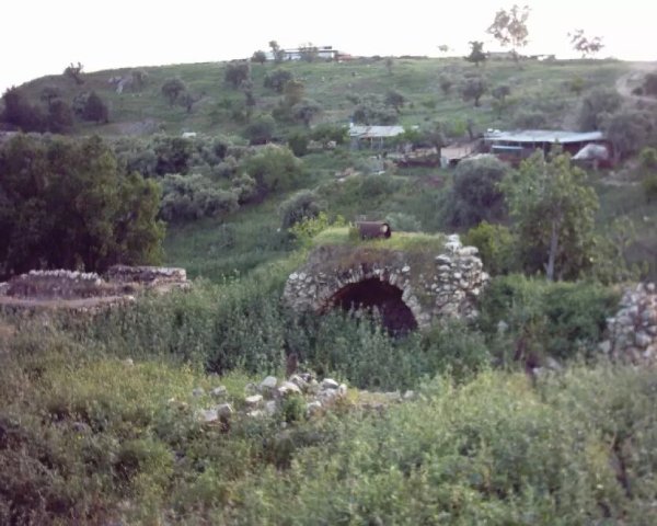 منازل قرية عكبرة المهجرة،  الصورة عام 2009 بعدسة مقبولة نصار