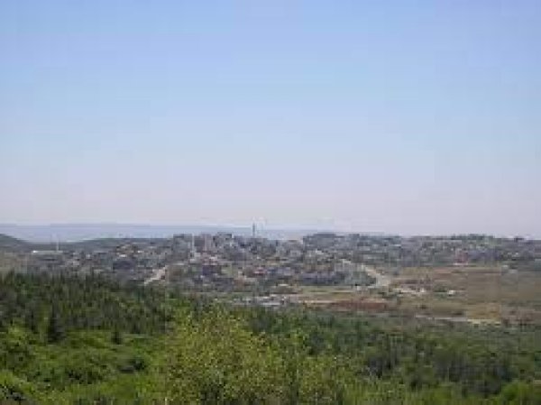 اطلالة على القرية