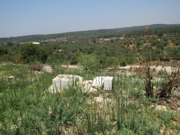 قرية جمزو / الرملة