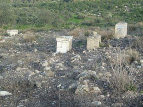 قرية جمزو / الرملة