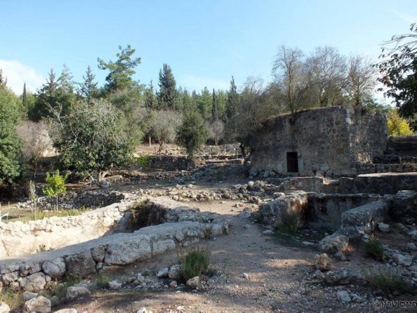 قرية جمزو / الرملة