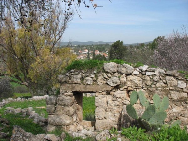 قرية جمزو / الرملة