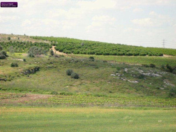 قرية جمزو / الرملة