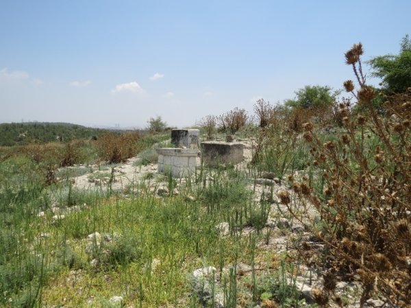 قرية جمزو / الرملة