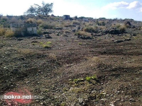 قرية جمزو / الرملة