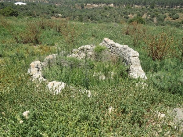 قرية جمزو / الرملة