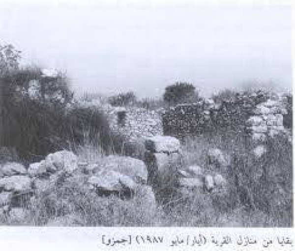 قرية جمزو / الرملة قرية جمزو / الرملة
