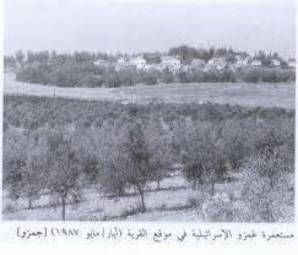 قرية جمزو / الرملة قرية جمزو / الرملة