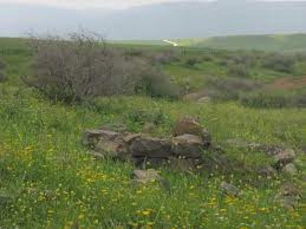  | موسوعة القرى الفلسطينية