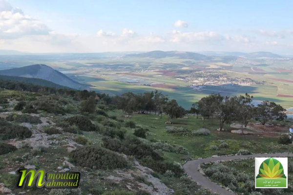  | موسوعة القرى الفلسطينية