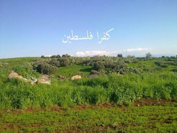  | موسوعة القرى الفلسطينية