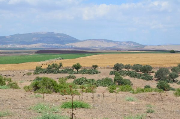  | موسوعة القرى الفلسطينية