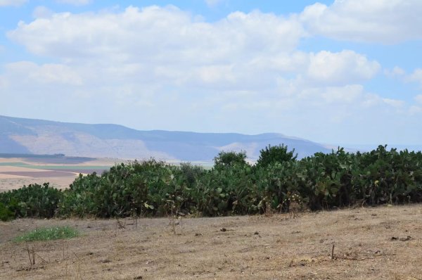  | موسوعة القرى الفلسطينية