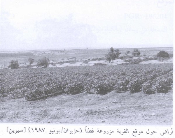 قرية سيرين قرية سيرين