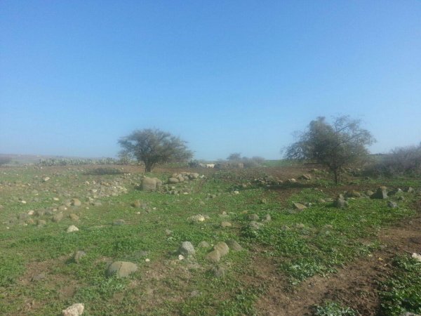  | موسوعة القرى الفلسطينية