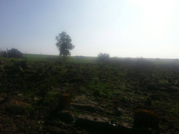  | موسوعة القرى الفلسطينية