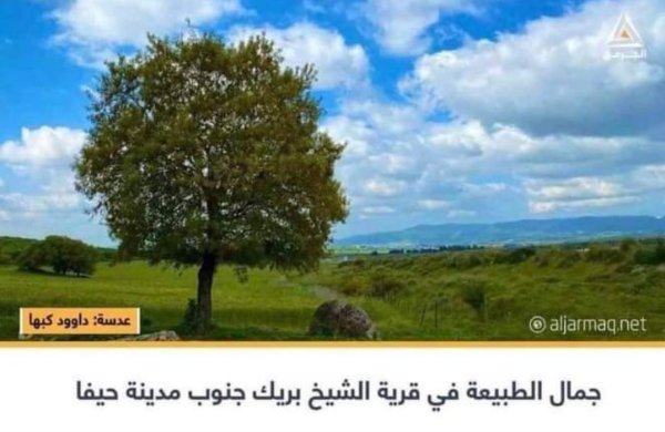 | موسوعة القرى الفلسطينية  | موسوعة القرى الفلسطينية