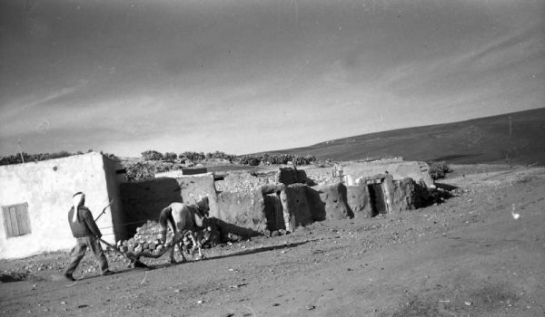 القرية القرية