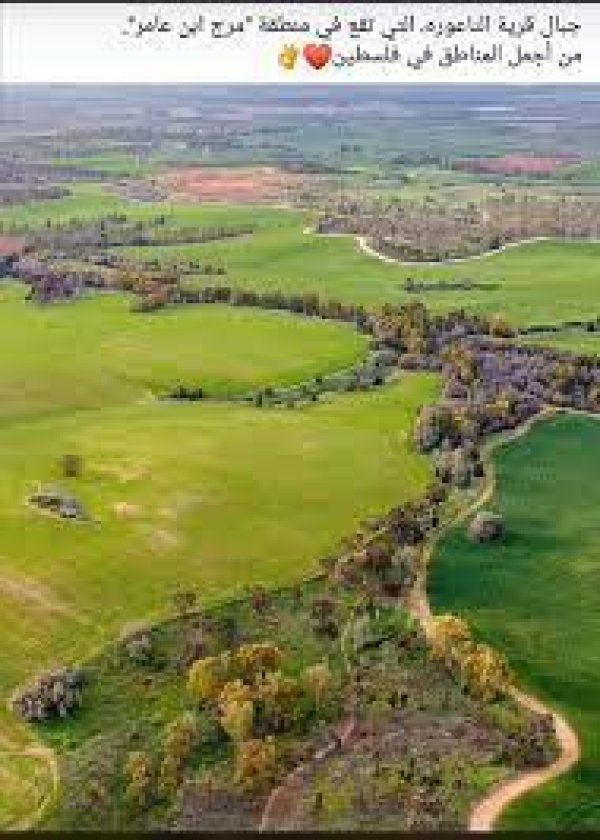 أراضي القرية