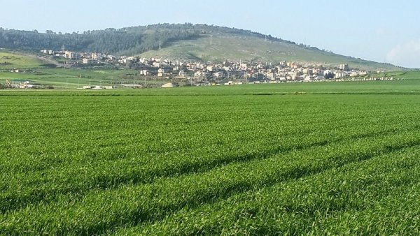 أراضي القرية