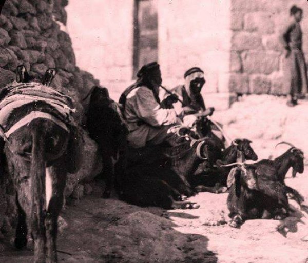 سكان القرية قبل النكبة سكان القرية قبل النكبة