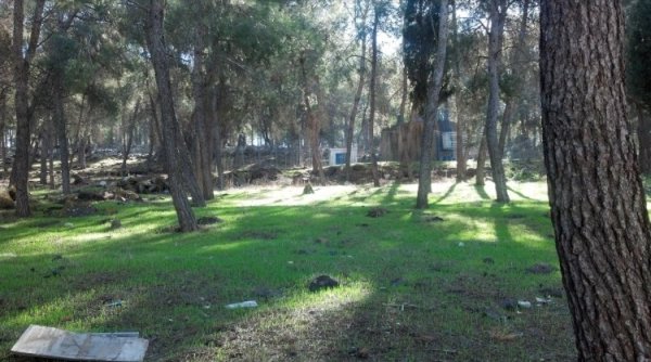 محيط القرية