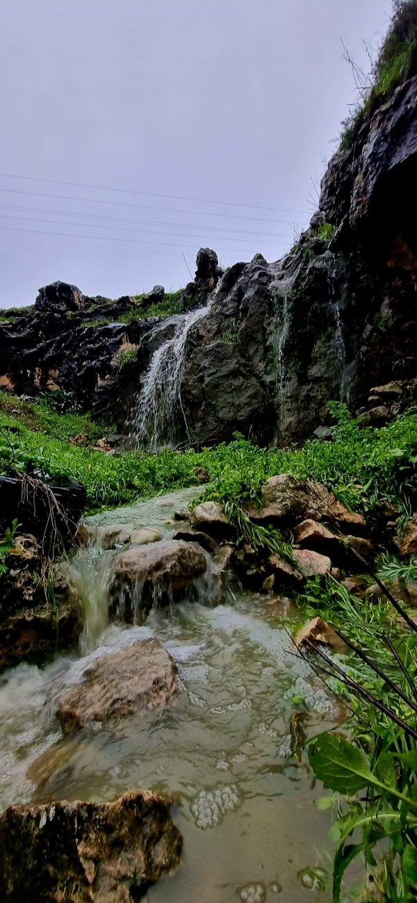  | موسوعة القرى الفلسطينية