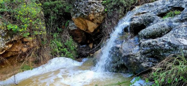  | موسوعة القرى الفلسطينية