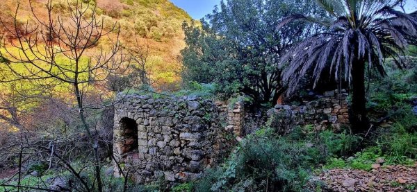  | موسوعة القرى الفلسطينية