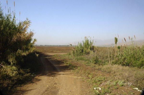 إطلالة عامة لقرية الصالحية