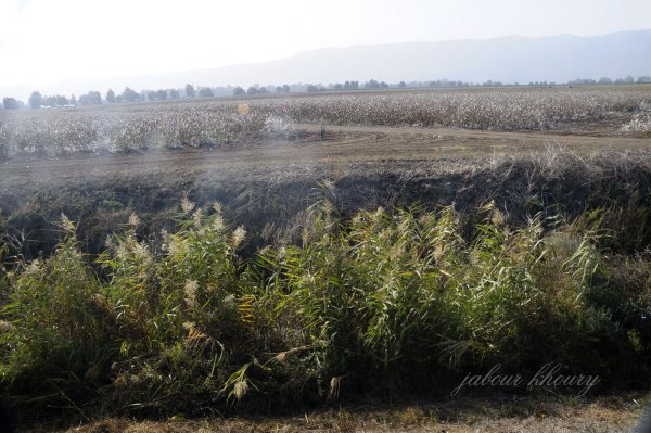 إطلالة عامة لقرية الصالحية