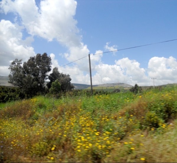 موقع قرية الصالحية