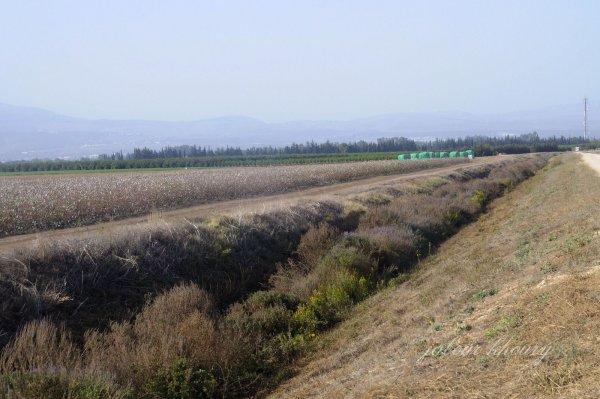 إطلالة عامة لقرية الصالحية