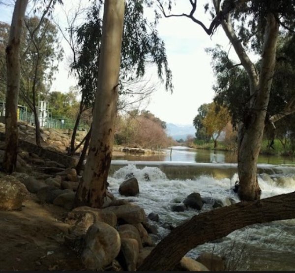 منظر لنهر الأردن بجانب قرية الصالحية