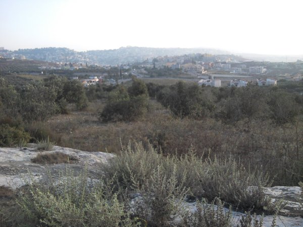 أراضي القرية