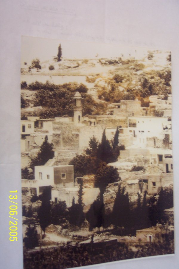 القرية القرية