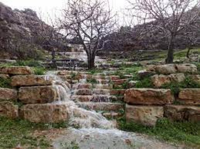 طرعان  | موسوعة القرى الفلسطينية