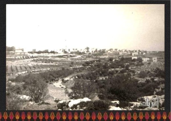 قرية بيت أمر / الخليل