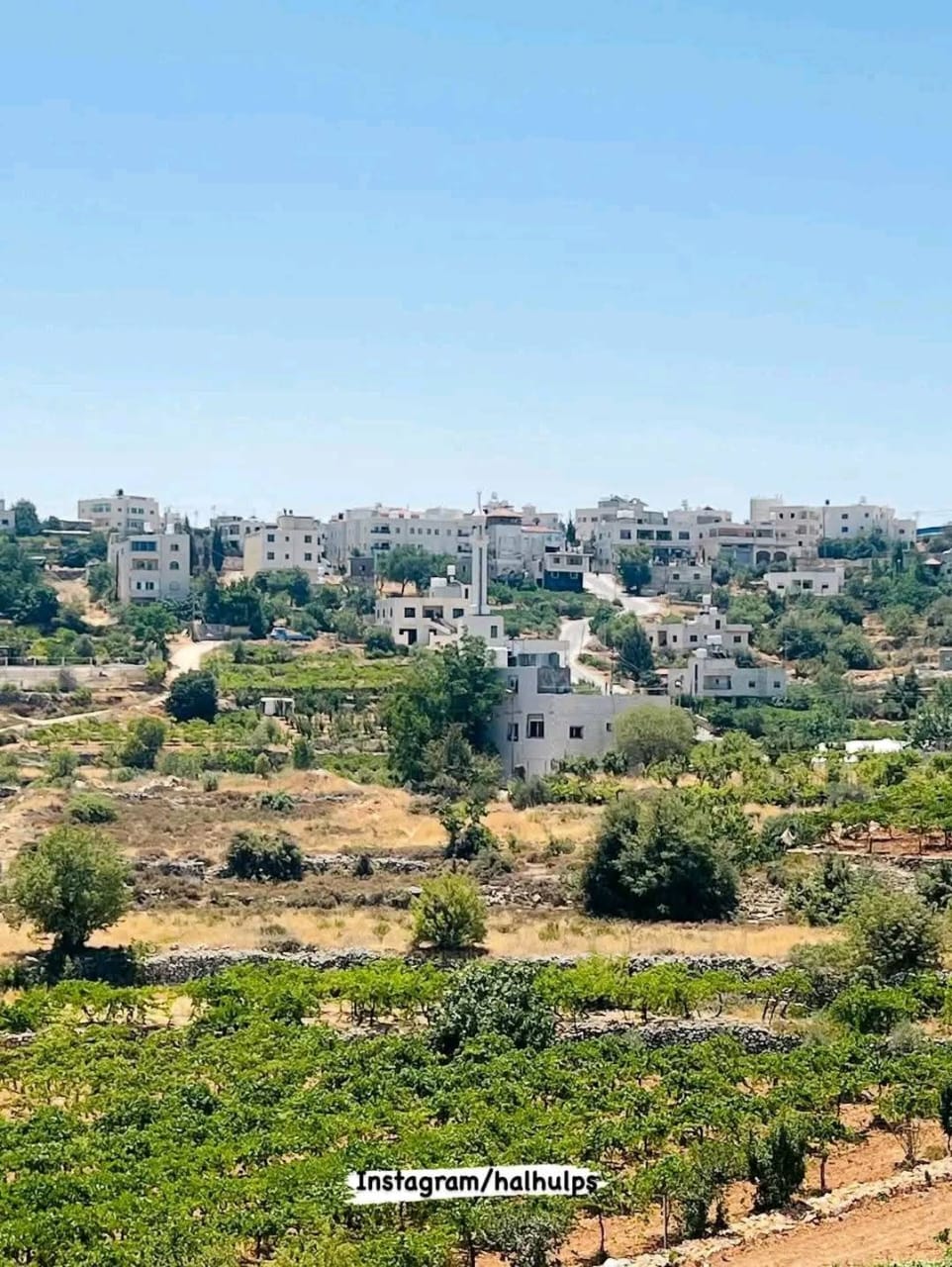 | موسوعة القرى الفلسطينية  | موسوعة القرى الفلسطينية