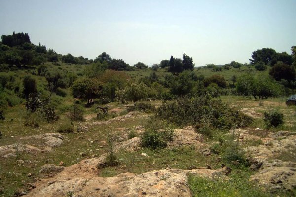 بقايا أنقاض مدرسة الفراضية، نقلاً عن موقع فلسطين في الذاكرة