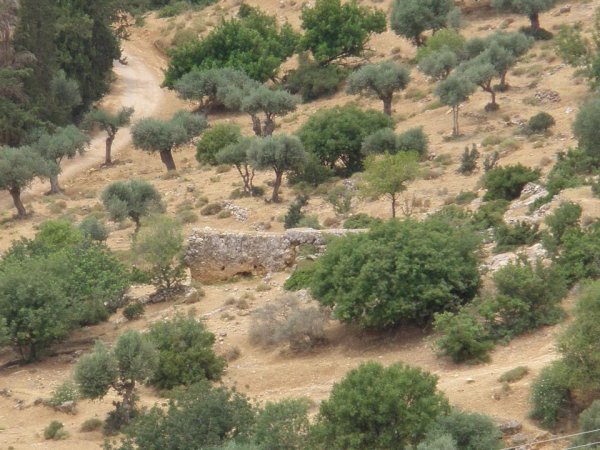 إطلالة عامة من أراضي قرية الفراضية، نقلاً عن موقع فلسطين في الذاكرة