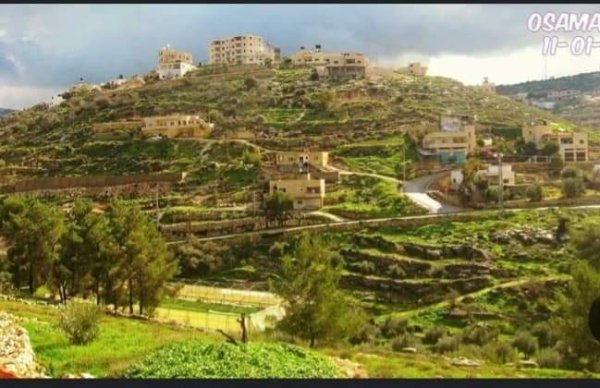 | موسوعة القرى الفلسطينية  | موسوعة القرى الفلسطينية