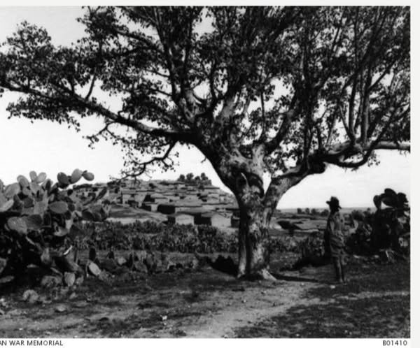 قرية المغار